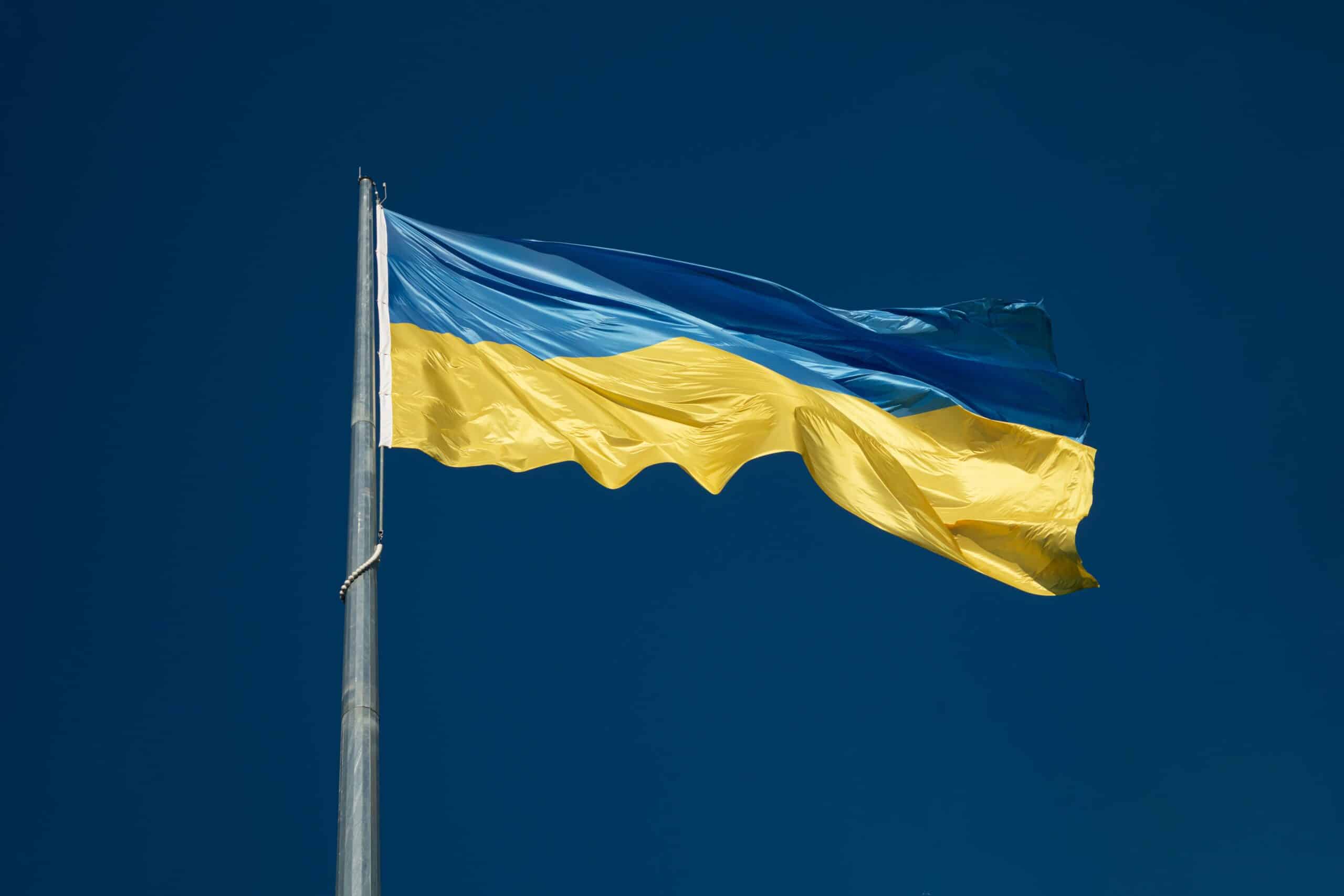 Bilde av ukrainsk flagg