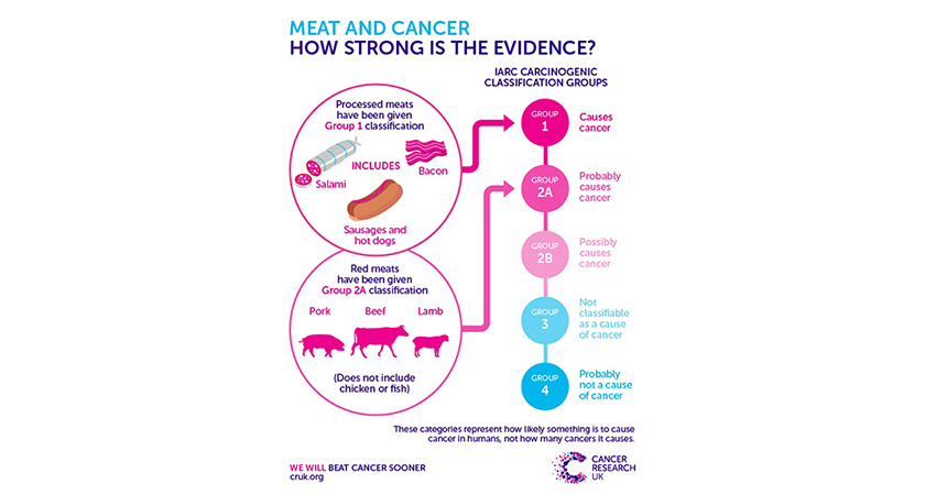 Infografikk som viser sammenhengen mellom kjøtt og kreft