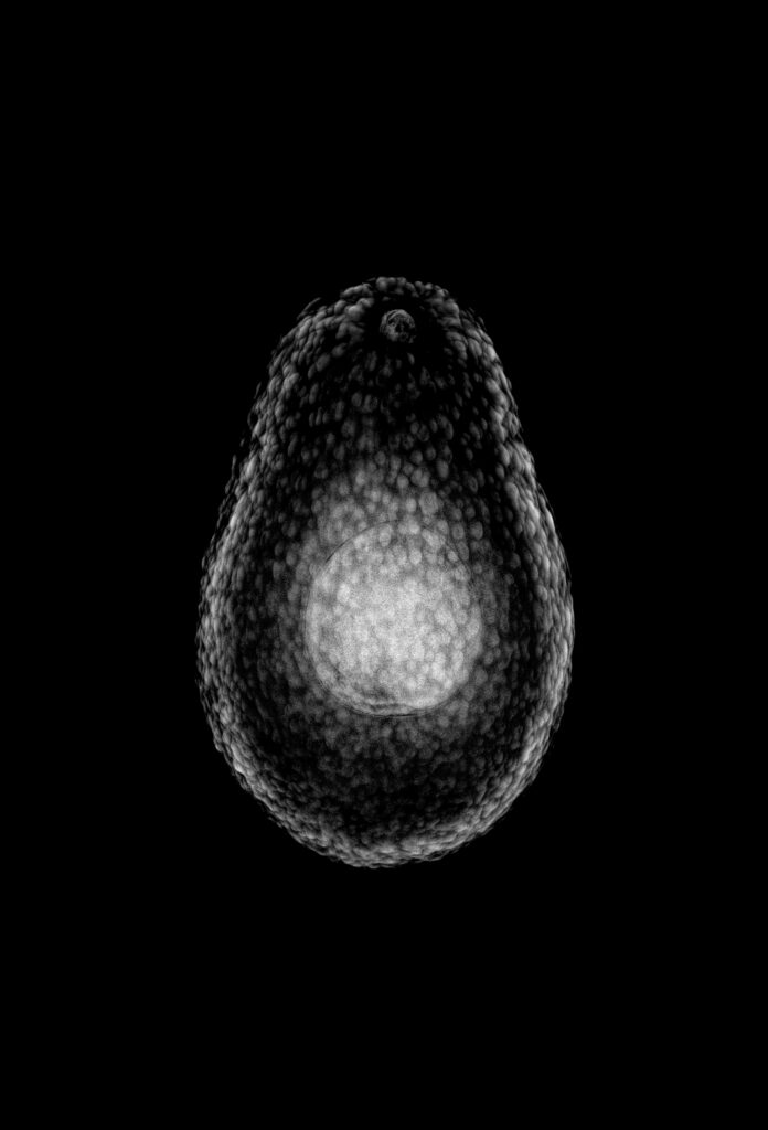 et svart-hvitt-bilde av en avokado.
