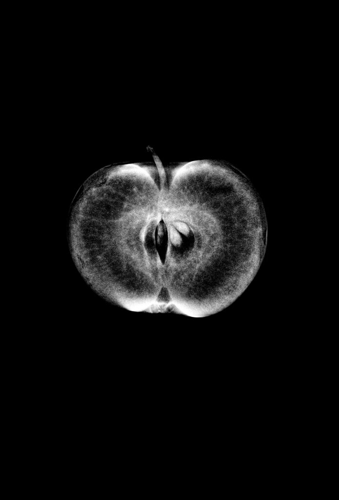 et svart-hvitt-bilde av et eple.