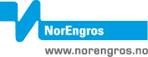 Logo til NorEngros