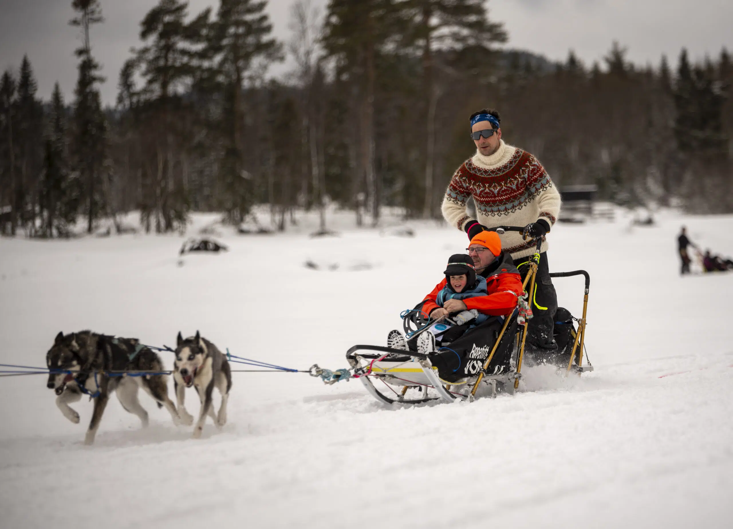 To personer i vinterutstyr kjører hundeslede trukket av tre huskyer over et snølandskap med trær i bakgrunnen.