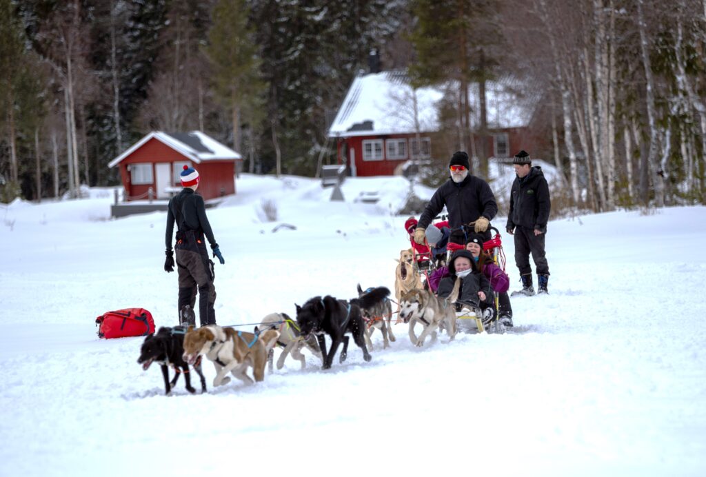 En gruppe mennesker kjører på hundeslede over et snølandskap med hytter i bakgrunnen.