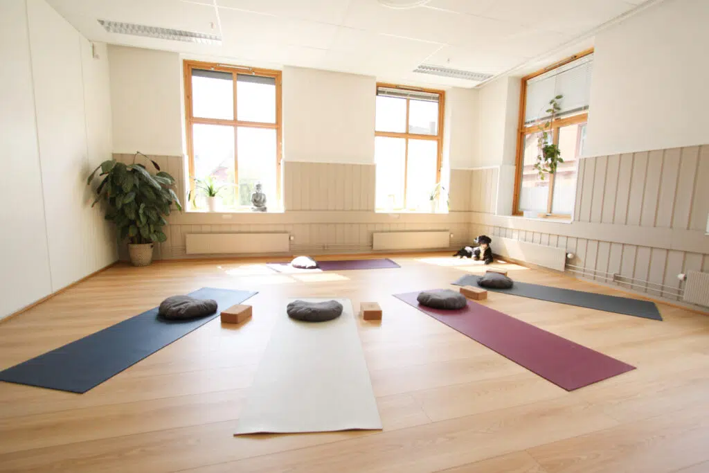 Et lyst yogastudio med fem yogamatter, hver med en pute og blokker, plassert i en sirkel på et tregulv. Store vinduer og potteplanter er synlige.