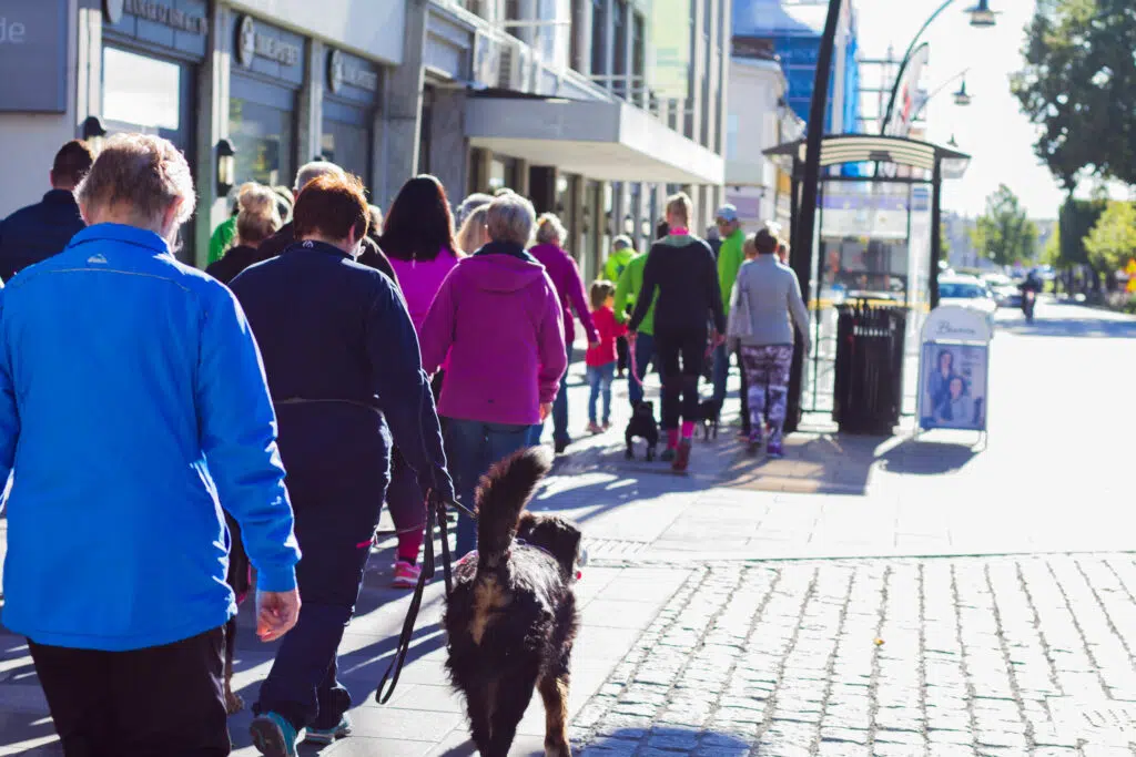 En gruppe mennesker, noen av dem med hunder, beveger seg nedover et solbelyst fortau med butikker og trær.