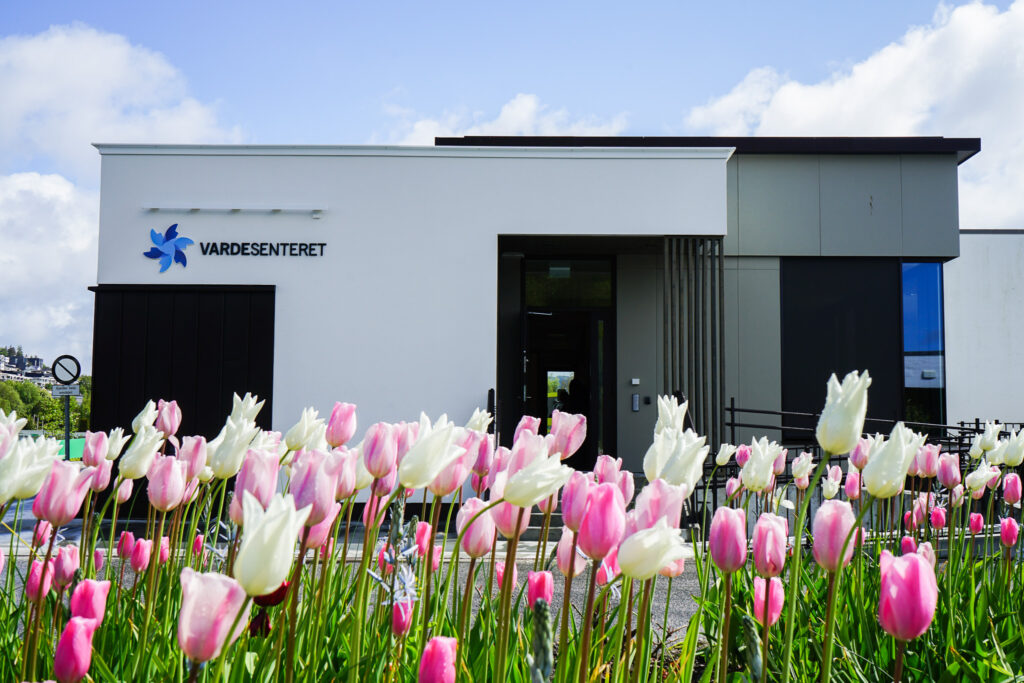 En moderne, hvit bygning med skiltet "VARDESENTERET" er avbildet bak et hagebed fylt med blomstrende rosa og hvite tulipaner.