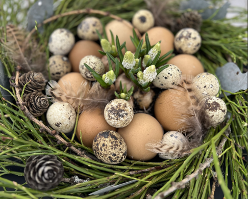 I et reir av grønne furugrener ligger brune og flekkete egg, små kongler, fjær og hvite blomster.