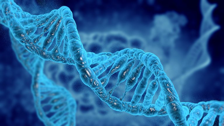 DNA-molekyler. 3D-illustrasjon.